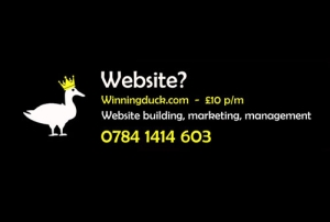 Winningduck website development
